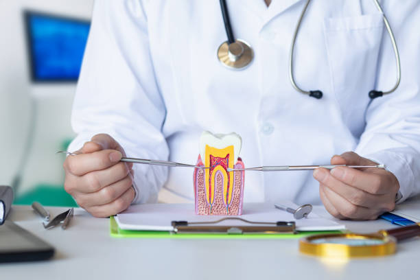 Best Emergency Dental Surgery in Rockfish, NC